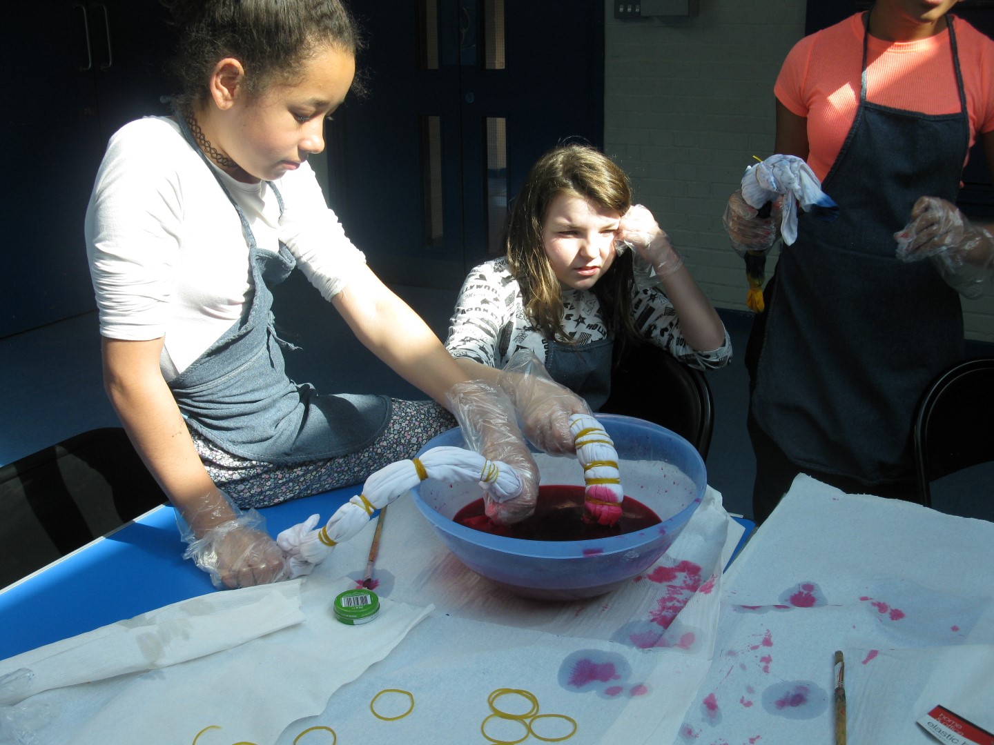 IMG 1509 (Large)   Copy